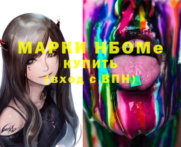 хмурый Алексин