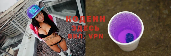 хмурый Алексин
