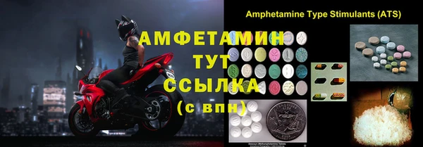 хмурый Алексин