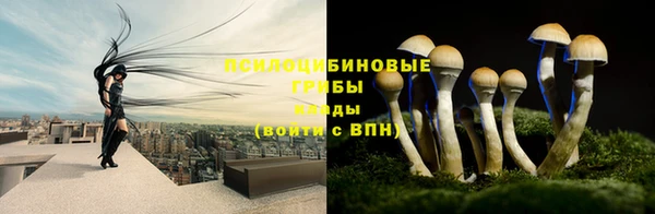 хмурый Алексин