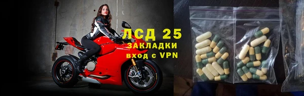хмурый Алексин