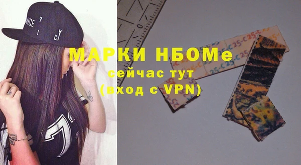 хмурый Алексин