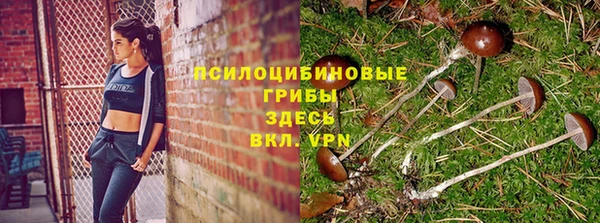 MESCALINE Абаза