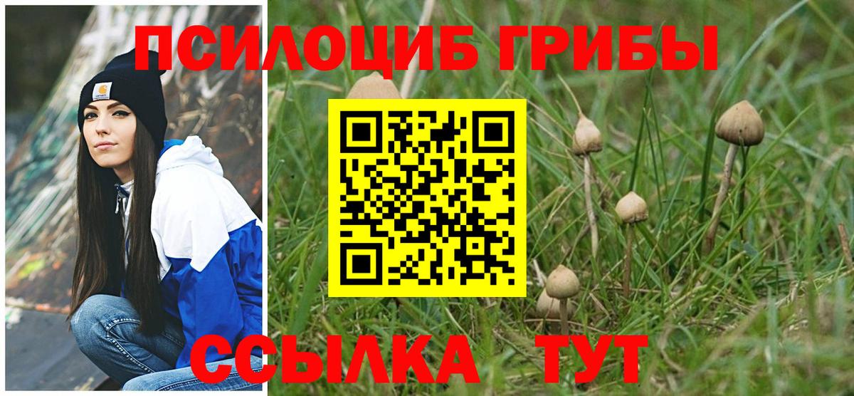 Псилоцибиновые грибы ЛСД Шебекино